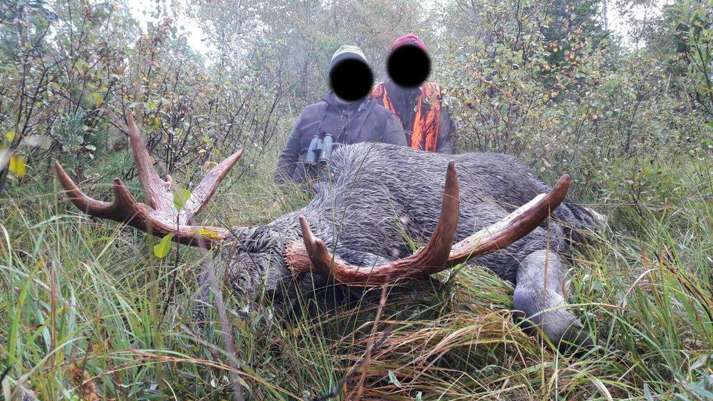 Hunting in Estonia